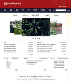 網(wǎng)站與網(wǎng)頁設(shè)計(jì) 構(gòu)建數(shù)字時(shí)代的視覺與功能橋梁